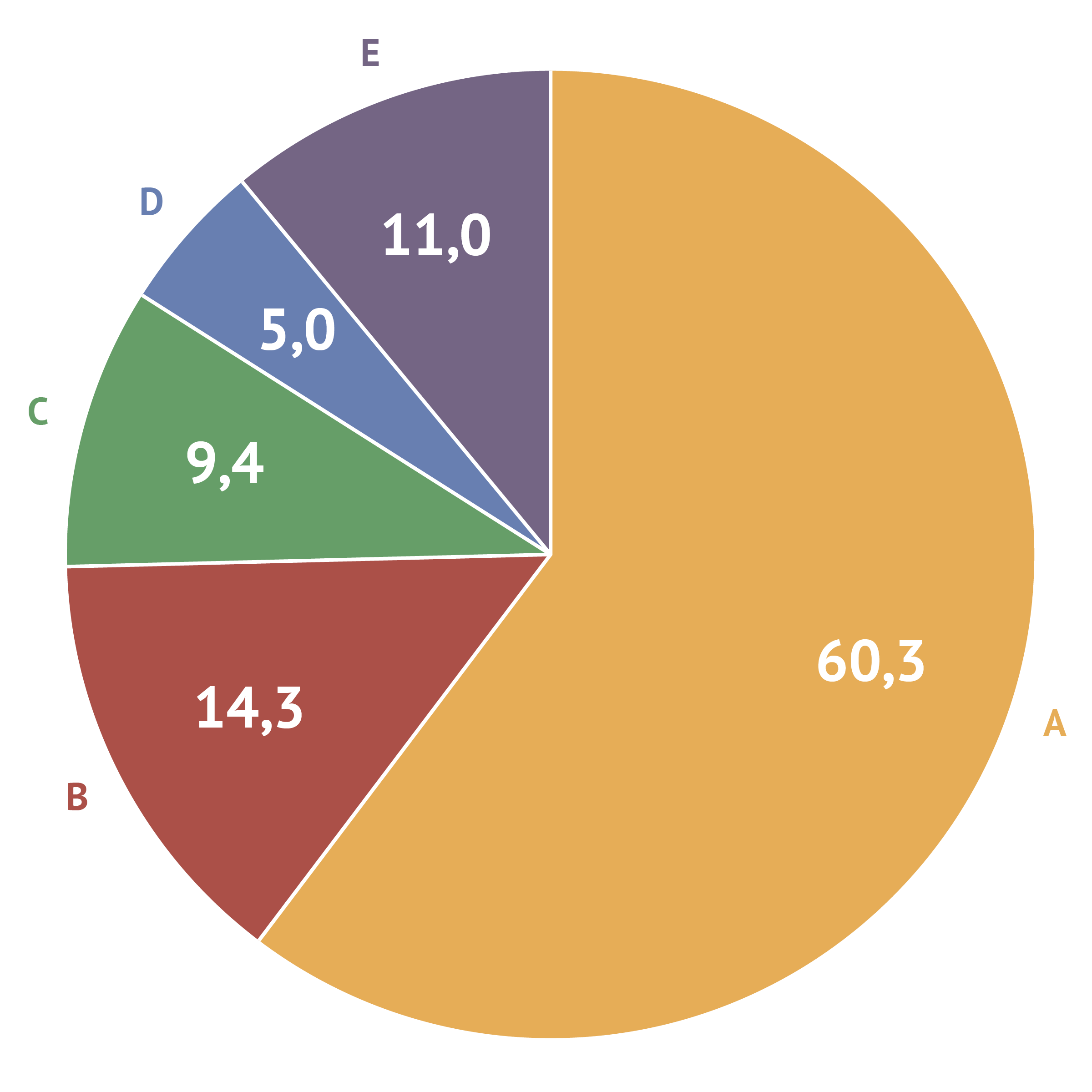 A pie chart with 5 slices